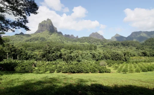 Végétation et montagnes, Moorea, Polynésie Française
