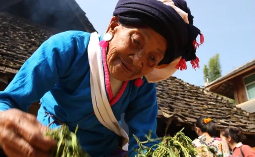 Jingmaishan, Yunnan, Chine