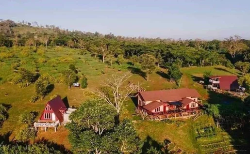 Ferme Mystic Mountain, Bolovens, Laos