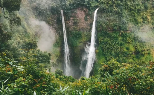 Chutes Tad Fane, Laos