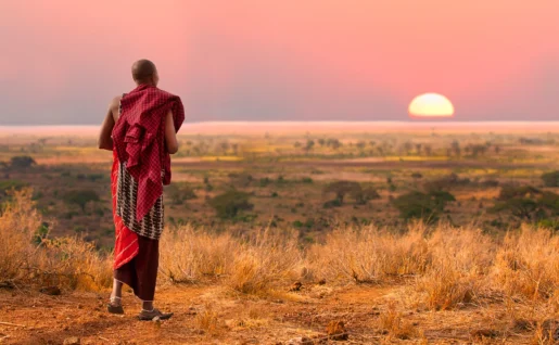 Masai guerrier regarde le Serengeti au coucher du soleil, Tanzanie