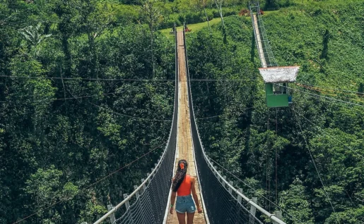 Pont suspendu Efate