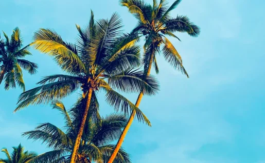 Sigatoka, Fiji