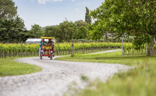 Martinborough, Wairarapa