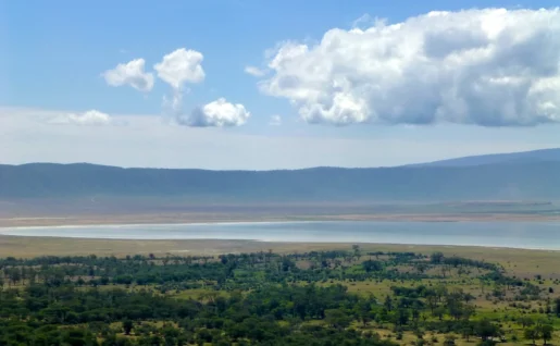 cratère de Ngorongoro, Tanzanie