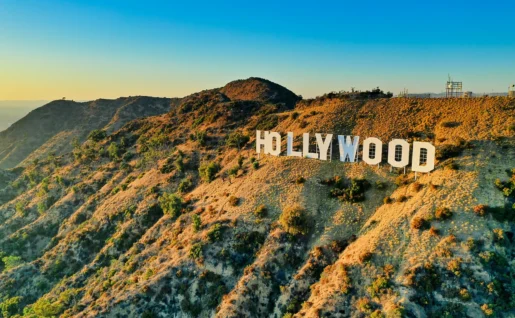 Signe Hollywood