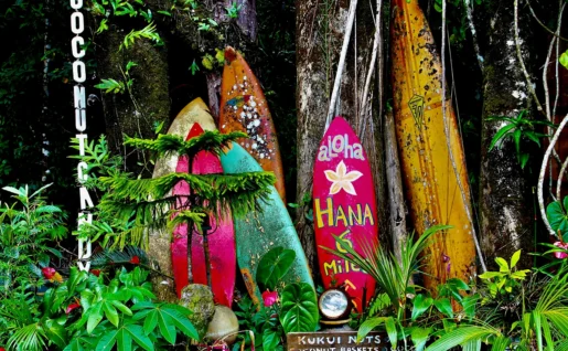 Planche de surf, Hawaii