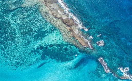 Benguerra, archipel de Bazaruto, eau turquoise, faune marine