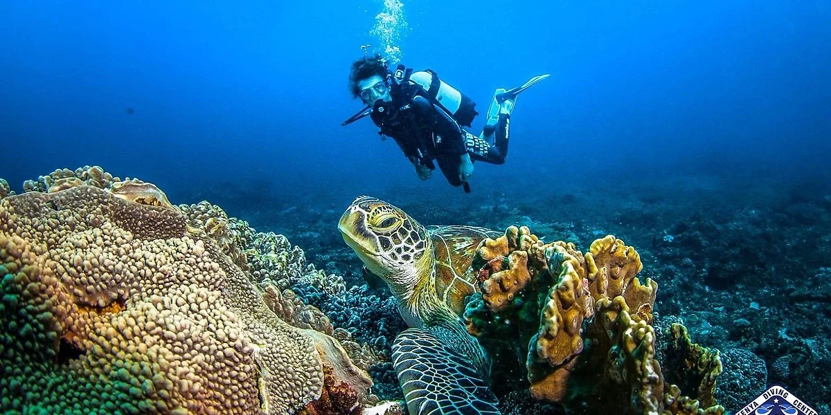 Plongée sous marine