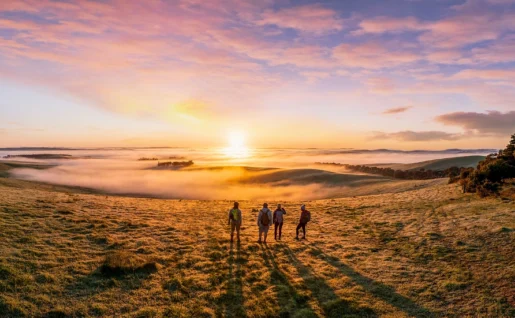 Clare Valley Wine Tours