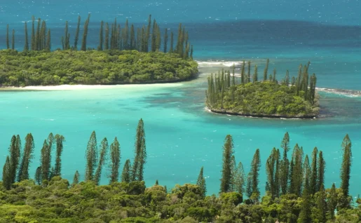 Ile des pins