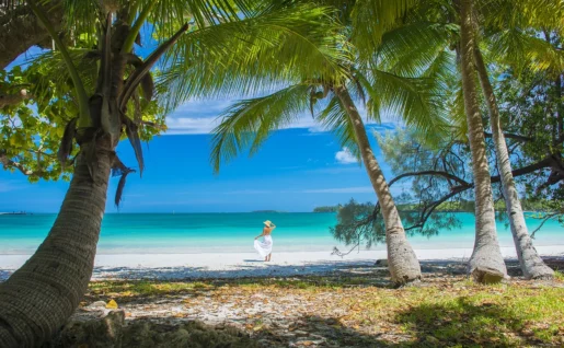 Plage, ile des Pins