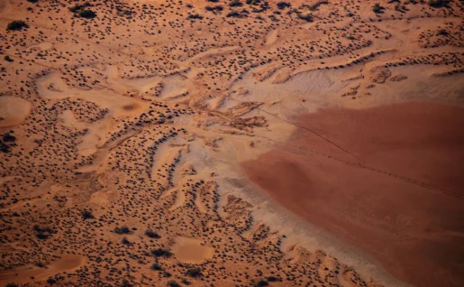 Arkaroola, Flinders Ranges